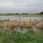 Fields at the the estate winter 2014.