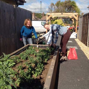 Smiles all round as the sun came out for planting day.